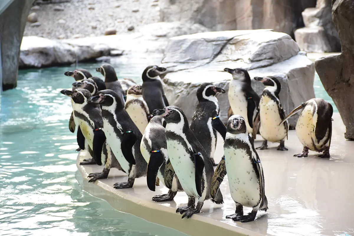 【新潟・中央】新潟市水族館 マリンピア日本海|日本海の魅力を体感できる人気の水族館「新潟市水族館 マリンピア日本海」