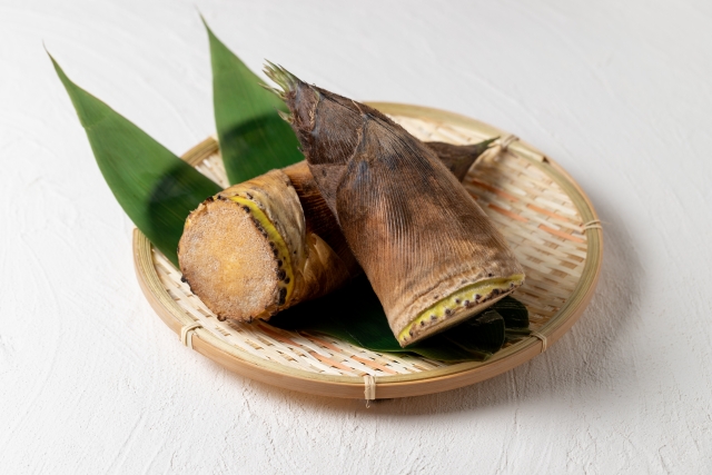 たけのこ狩り｜5月上旬から始まる大人気のイベント！良質のたけのこを掘って食べてお楽しみください「耕野まちづくりセンター」