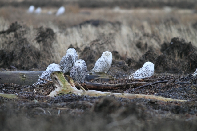 スタジオツアー｜ようこそ、魔法界の体験へ