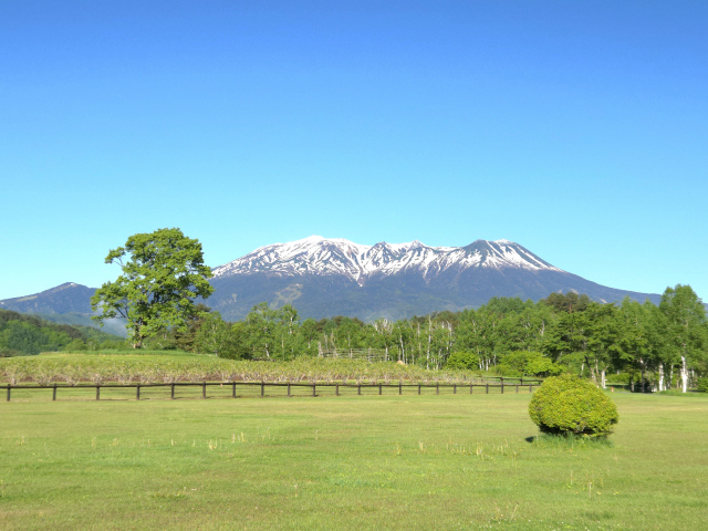 心と体をリセット!宿坊で本格ヒーリング体験