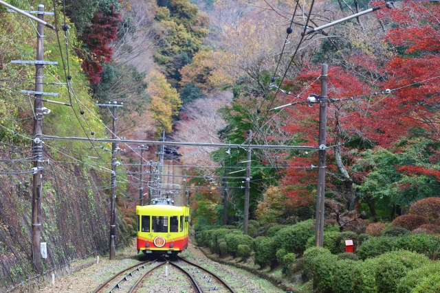 日本一の急勾配にチャレンジ!人気の高尾山ケーブルカー