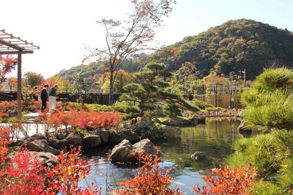 季節の花と伝統美を楽しむ高尾駒木野庭園