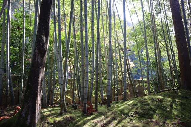 感じる