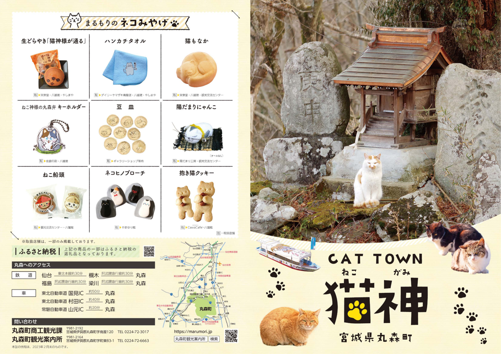 猫神パンフレット