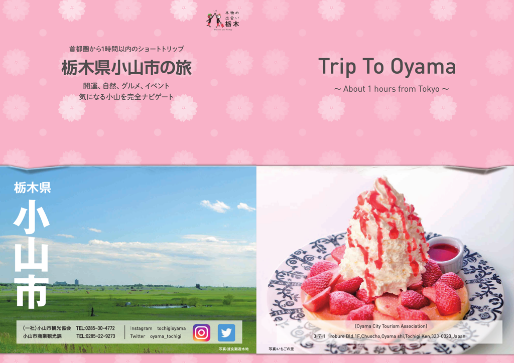 栃木県小山市の旅