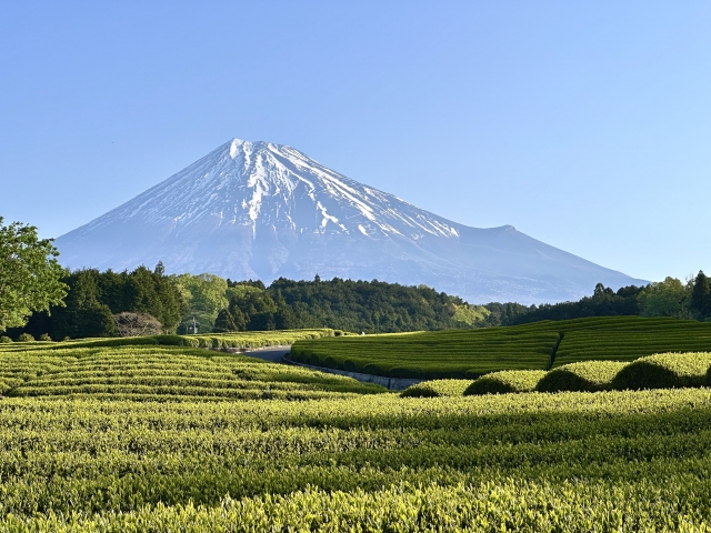 静岡県