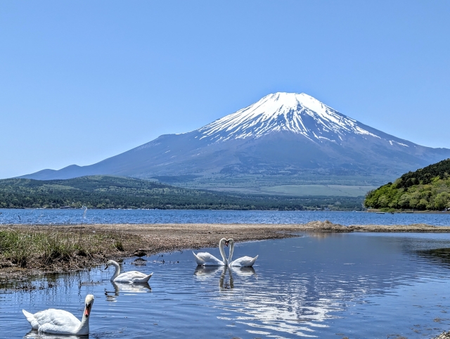 山梨県